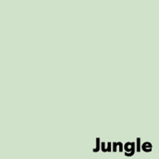 Image, Coloraction, Jungle/pale green, Kopipapir, træfri ECF, 80g/m2, 210mm, x 297mm, A4, Smal bane, pakke a 500 ark, FSC Mix Credit EU-miljømærke